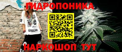 тгк Гусь-Хрустальный