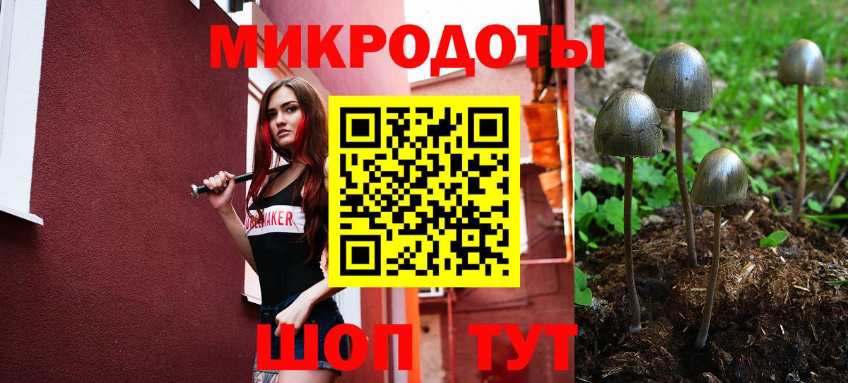 Псилоцибиновые грибы GOLDEN TEACHER Михайловск