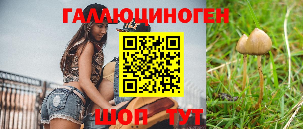 Псилоцибиновые грибы мухоморы  Вход с VPN  Михайловск  Псилоцибиновые грибы мухоморы 